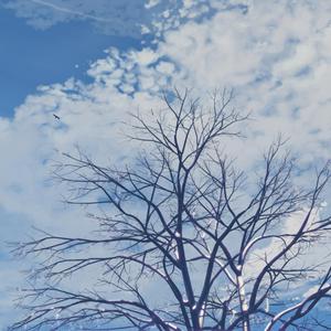 女教师被内谢怀孕了
